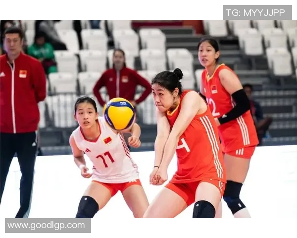 最新排球实力排行榜出炉武汉排球队稳居榜首引领风骚