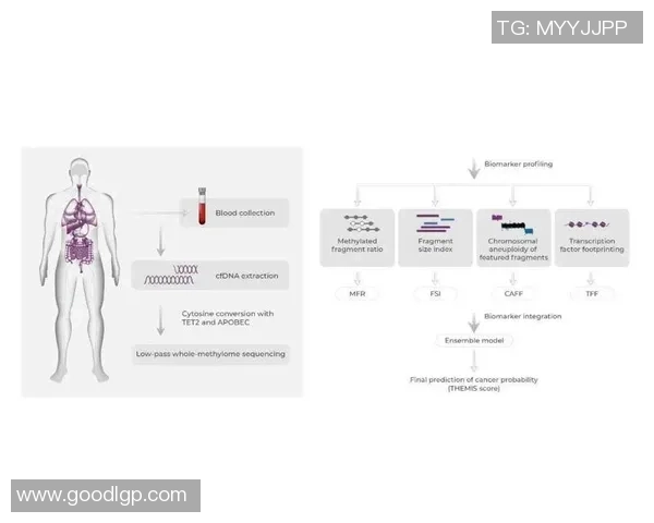 武汉排球队团队协作表现数据分析与提升策略探讨