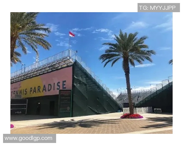 网球盛宴：深入解析西安网球队的战术布局与训练秘诀