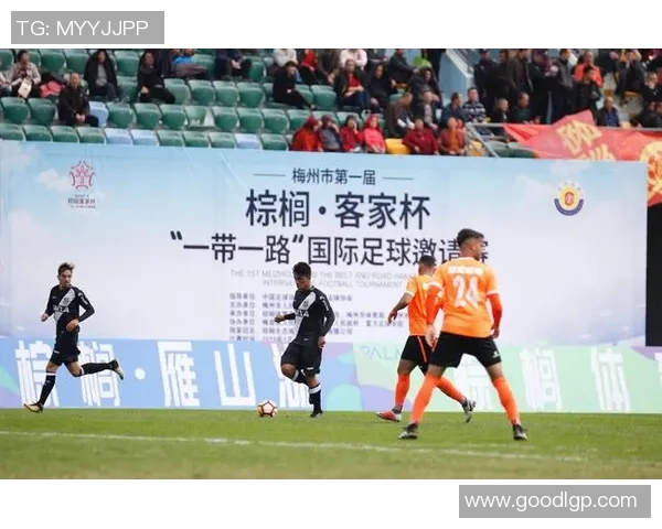 荷南足球明星的辉煌历程与成就揭秘你知道多少关于他们的故事