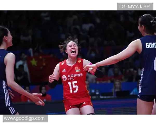 排球焦点：武汉排球队的灵活性探讨