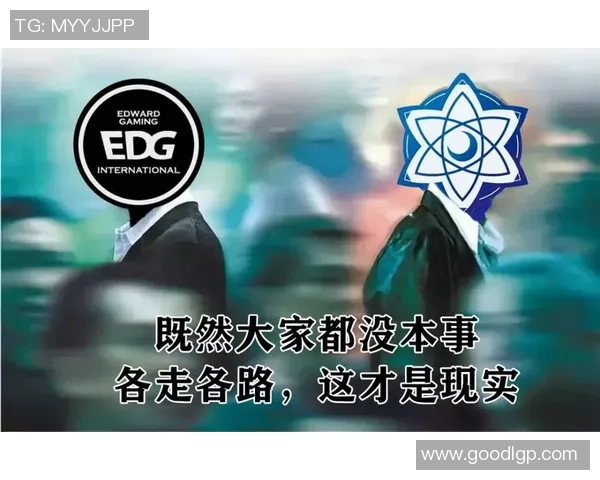 专业解读：EDG的快攻打法