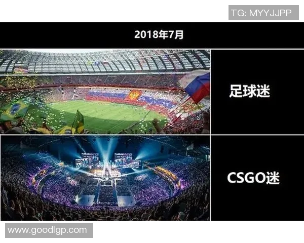 专访张芳：解密CS_GO成功之道（358 ）