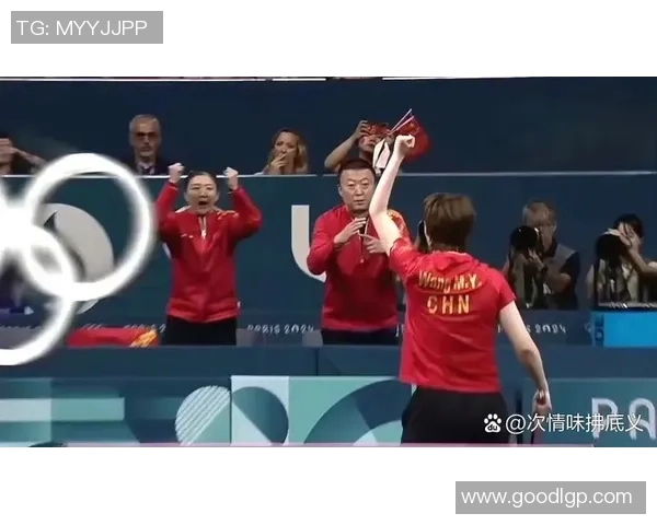 大满贯点评：深圳排球队的战术表现