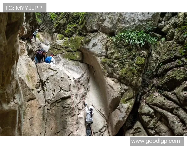 张芳独家：分享攀岩心得