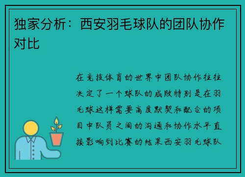 独家分析:西安羽毛球队的团队协作对比