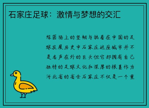 石家庄足球：激情与梦想的交汇