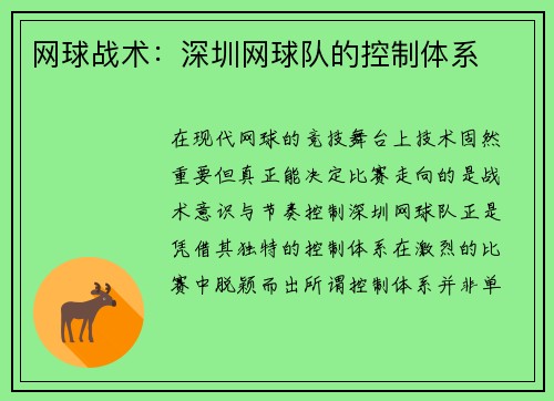 网球战术:深圳网球队的控制体系